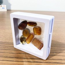 Lot de 7 Pierres d’Ambre Naturel Poli avec Inclusions – Baltique – Fossile