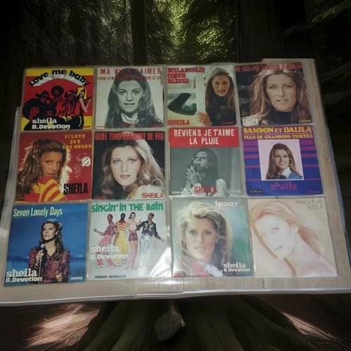 Plusieurs disques vinyles - 1,
