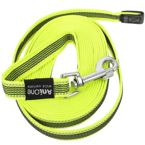 Laisse dressage pour chien - dressage,