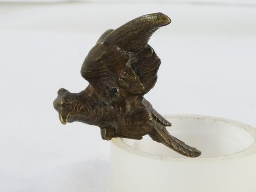 Petit perroquet bronze - petit,