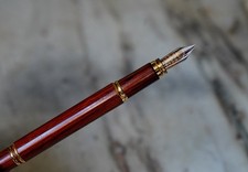 STYLO PLUME WATERMAN MAN 100