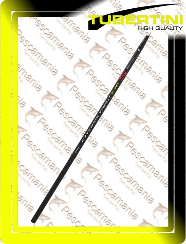 Canne tubertini extensis - ,