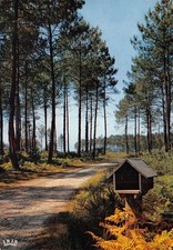 40-LES LANDES NICHE A PAIN-N�2790-B/0393