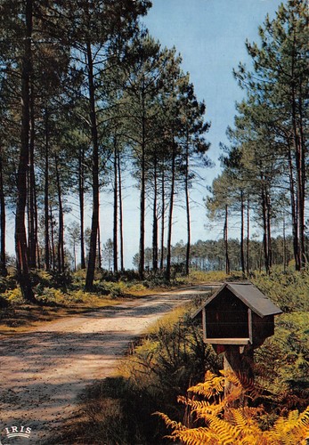 Les landes niche a - 40-les,