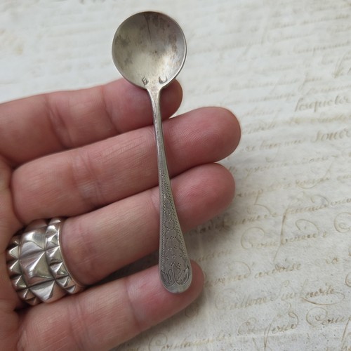 Cuillere pelle sel argent - a,