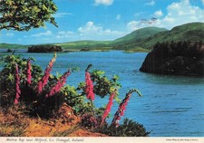 IRLANDE MILFORD MULROY BAY CO DONEGAL