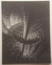 PIERRE CLAYETTE - Grand Carton d invitation - 1965