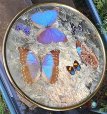 PLATEAU BRONZE DORÉ VERRE