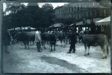 BORDEAUX PLAQUE PHOTO VERRE 15