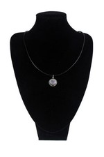 Teckel poil dur collier - teckel, dur.