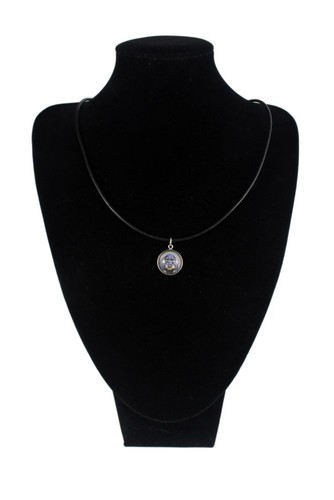 Teckel poil dur - poil, collier