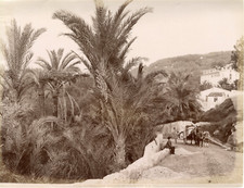G.J. Italie, Bordighera, scène villageoise Vintage albumen print  Tirage album