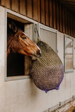 Filet à foin HIPPOTONIC Fin - Couleur : Noir/violet