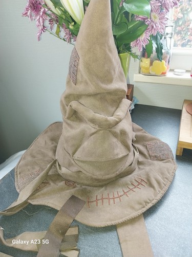 Harry potter chapeau choixpeau - potter,