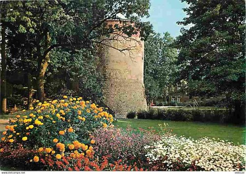 Carte postale - carte, 59