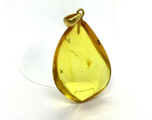 Pendentif ambre avec insectes - ambre,