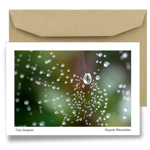 Carte postale papier - , aquarelle