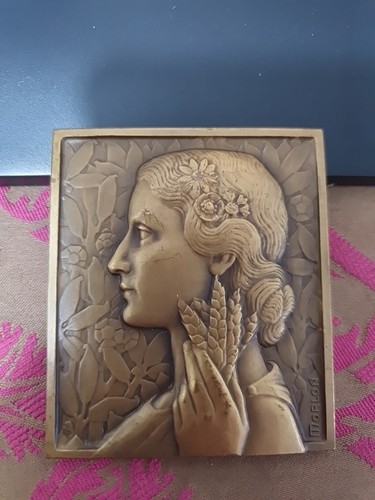 France médaille société - médaille,,