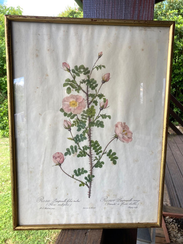 Lithographie ancienne joseph - lithographie,