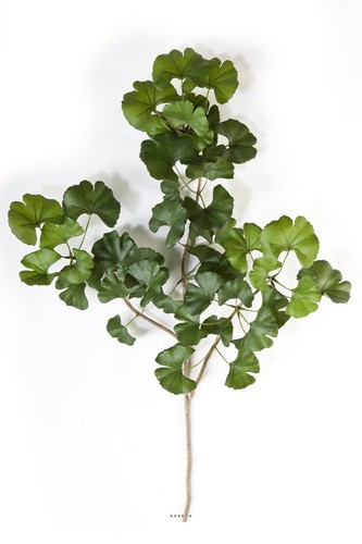 Branche ginkgo artificiel - ginkgo,