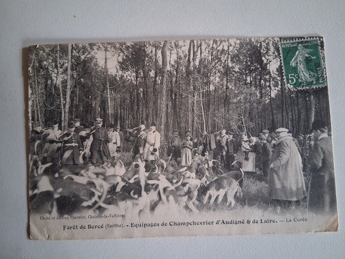 Cpa sarthe forêt de - sarthe, :