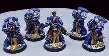 Commission miniatures PRO Painted - Sternguard Veteran Squad - Warhammer