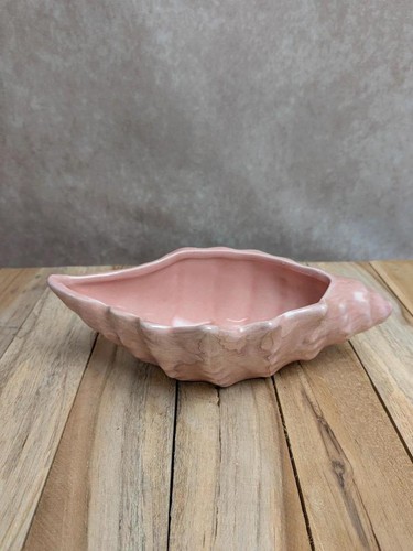 Coquillage vintage rose