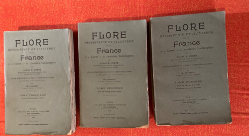 Flore france abbe coste - flore,