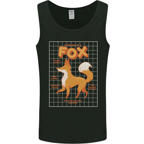 Anatomie renard funny - anatomie,