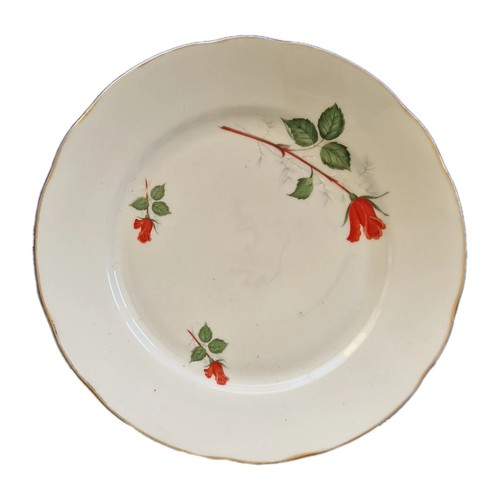 Assiette plat bavaria - ,