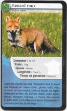 Carte Bioviva! - Renard roux - 02
