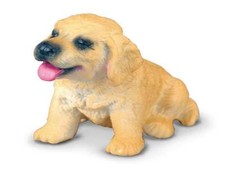 Chiot Golden Retriever 4,5 Cm