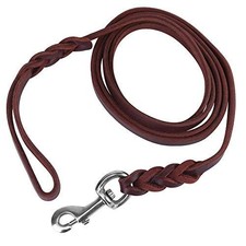 Laisse dressée pour Chiot en