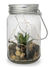 Plante grasse factice cactée