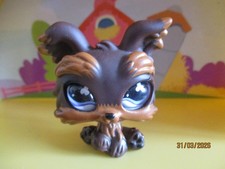 Petshop Chien Yorkshire #509 /