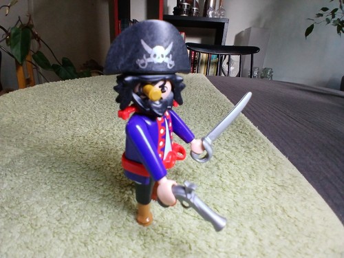 Flibuste playmobil pirate - flibuste,
