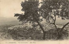 CPA ALGERIE NEDROMA VUE D'ENSEMBLE