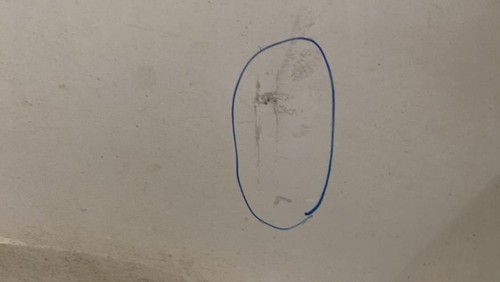 Porte arriere gauche