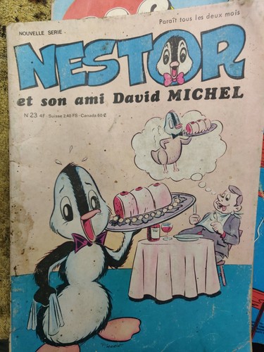 Nestor son ami david - ami,