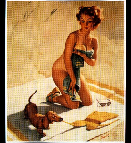 Image pour adulte - sage, /