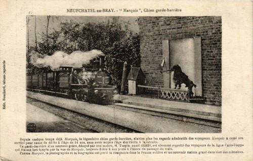 Cpa neufchatel bray - ak, neufchatel-en-bray