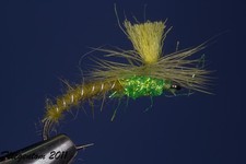 Fliegentom mouche sèche 3