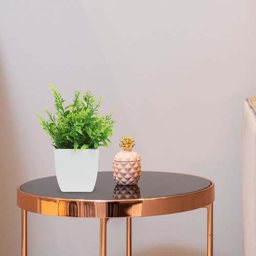 Fausse plantes artificielles - plantes,