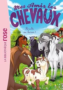 Mes amis les chevaux - ., 42