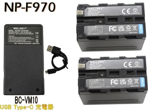 Batterie sony f950 - batterie, np-f950/960/970