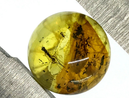 Ambre insectes perles rondes - perles,