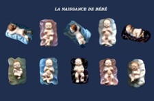 SERIE COMPLETE DE FEVES LA