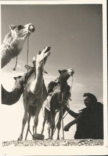 Carte postale portrait maroc - postale,