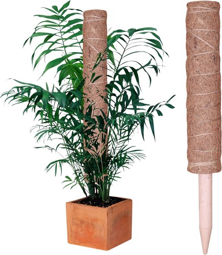 Garden support plante - my,