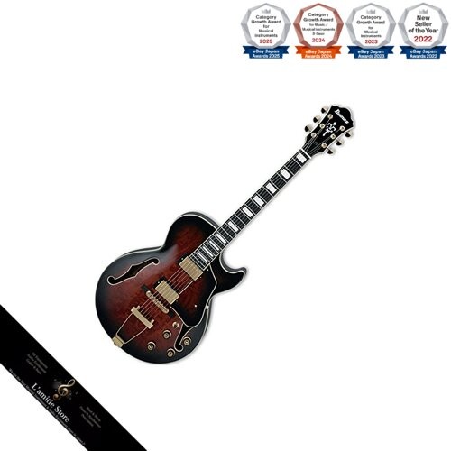 Guitare creuse complète